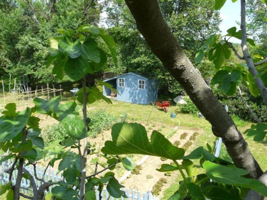 Gite De Charme 80 M², Piscine, Proche D'Uzes. Vezenobres Exterior photo